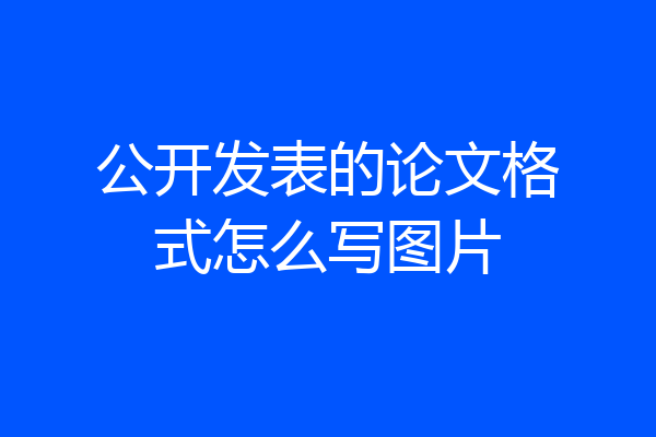 公开发表的论文格式怎么写图片