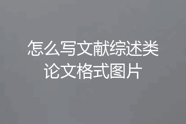 怎么写文献综述类论文格式图片