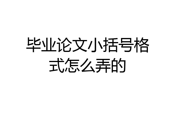 毕业论文小括号格式怎么弄的