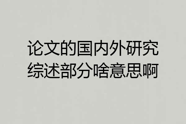 论文的国内外研究综述部分啥意思啊