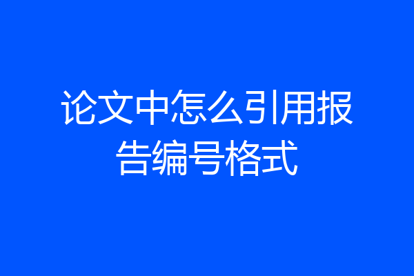 论文中怎么引用报告编号格式