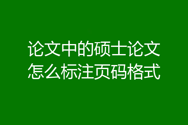论文中的硕士论文怎么标注页码格式