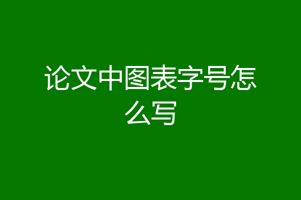 论文中图表字号怎么写
