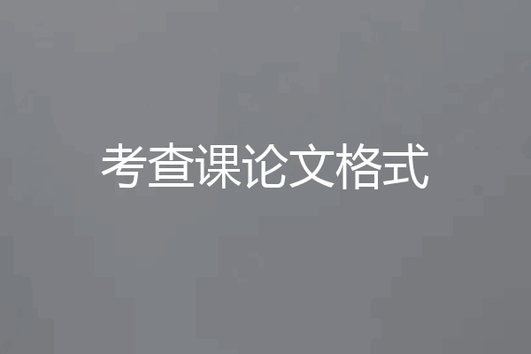 考查课论文格式