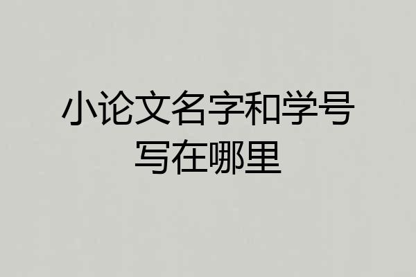 小论文名字和学号写在哪里