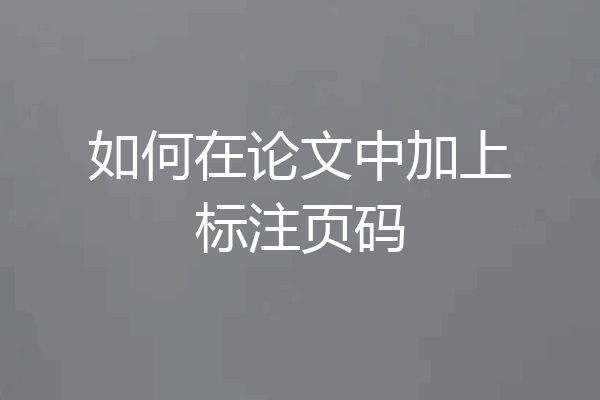 如何在论文中加上标注页码