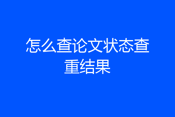 怎么查论文状态查重结果