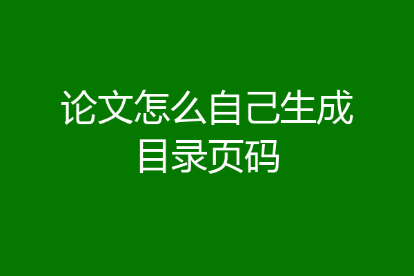 论文怎么自己生成目录页码