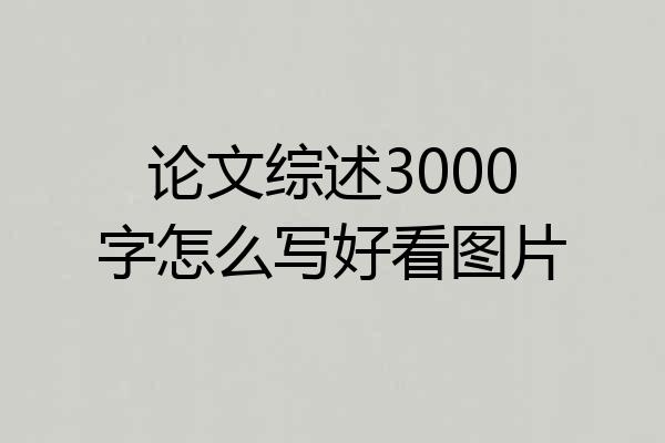 论文综述3000字怎么写好看图片