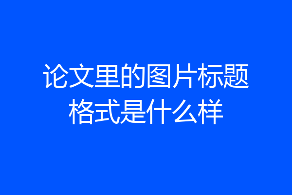 论文里的图片标题格式是什么样