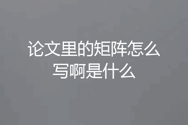 论文里的矩阵怎么写啊是什么