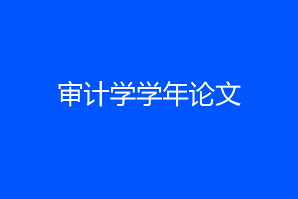 审计学学年论文