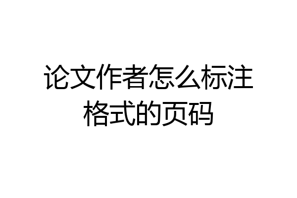论文作者怎么标注格式的页码