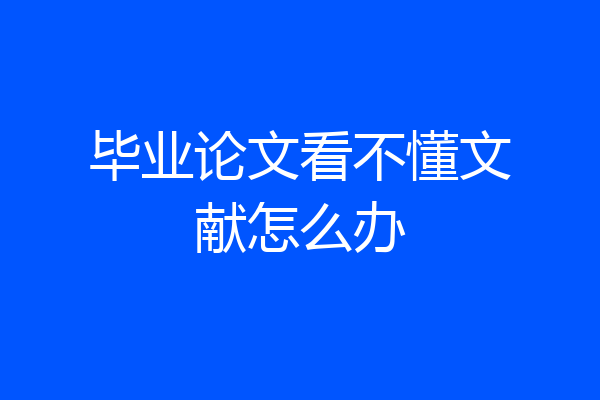 毕业论文看不懂文献怎么办