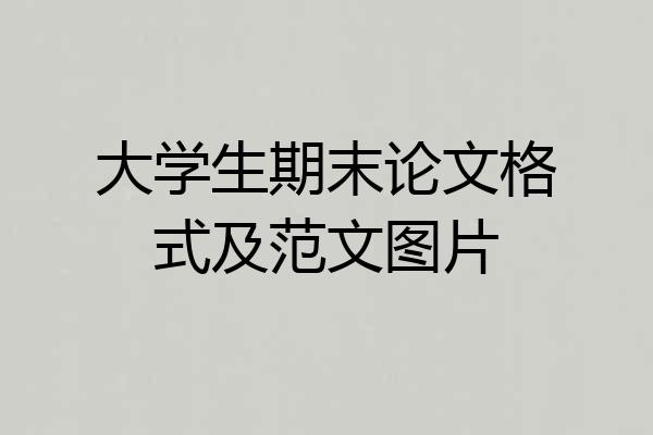 大学生期末论文格式及范文图片