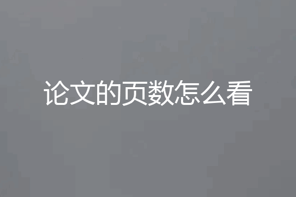 论文的页数怎么看