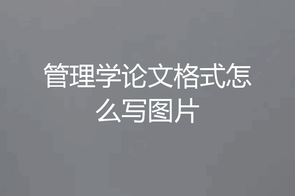 管理学论文格式怎么写图片