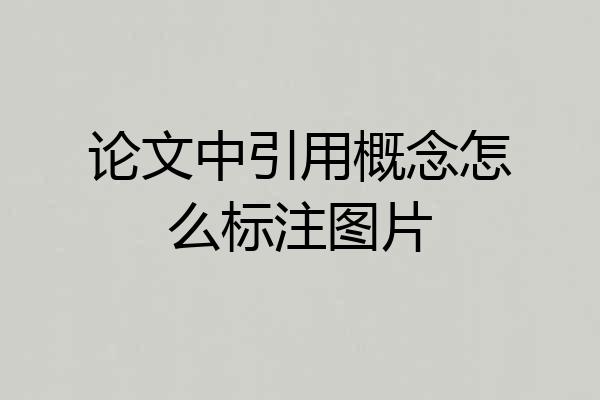 论文中引用概念怎么标注图片
