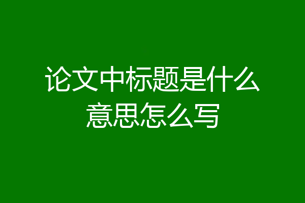 论文中标题是什么意思怎么写