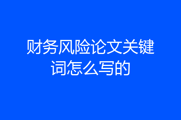 财务风险论文关键词怎么写的