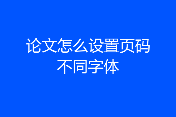 论文怎么设置页码不同字体
