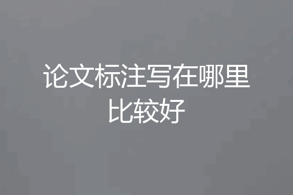 论文标注写在哪里比较好