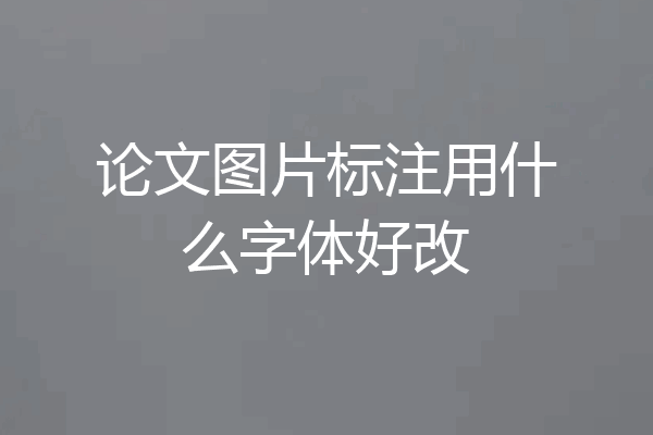 论文图片标注用什么字体好改