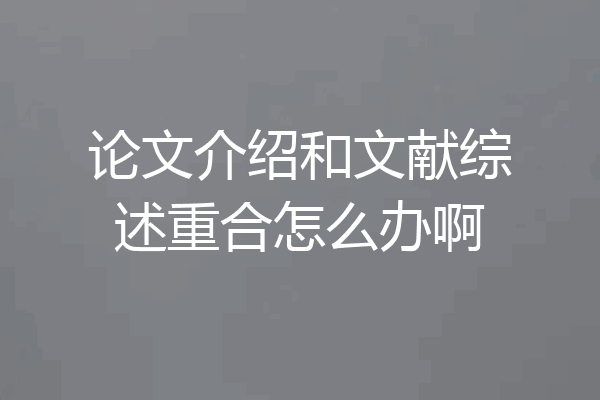 论文介绍和文献综述重合怎么办啊