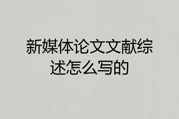 新媒体论文文献综述怎么写的