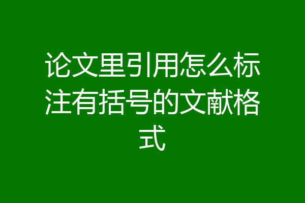 论文里引用怎么标注有括号的文献格式