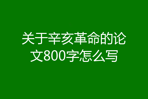 关于辛亥革命的论文800字怎么写