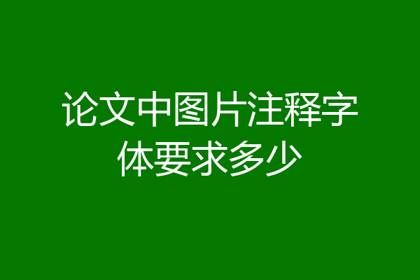 论文中图片注释字体要求多少