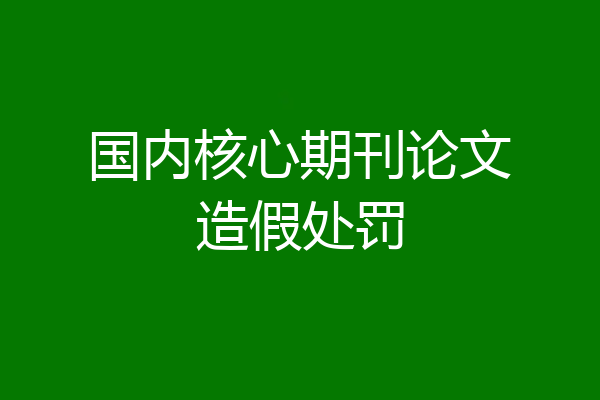 国内核心期刊论文造假处罚