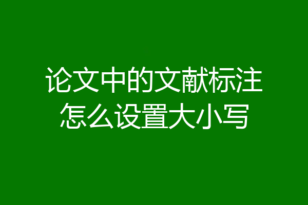 论文中的文献标注怎么设置大小写
