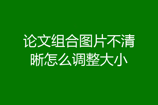 论文组合图片不清晰怎么调整大小