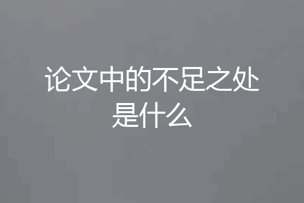 论文中的不足之处是什么