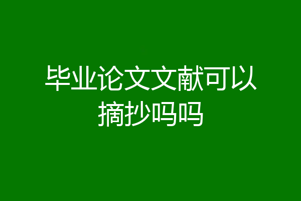 毕业论文文献可以摘抄吗吗
