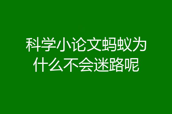 科学小论文蚂蚁为什么不会迷路呢