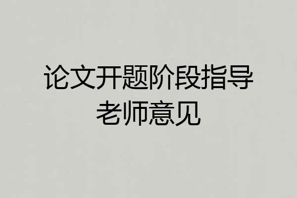 论文开题阶段指导老师意见