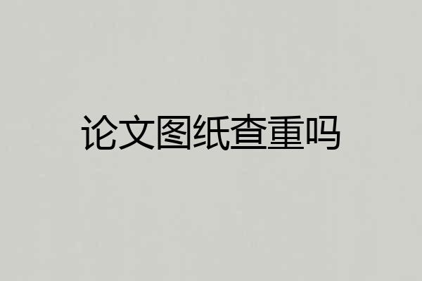 论文图纸查重吗