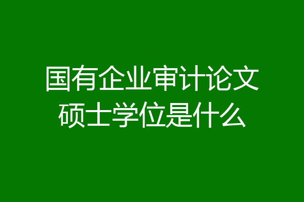国有企业审计论文硕士学位是什么