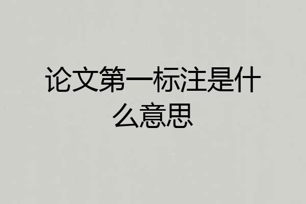 论文第一标注是什么意思