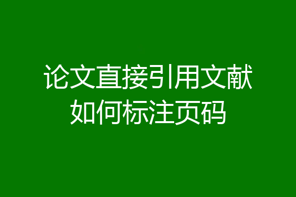 论文直接引用文献如何标注页码