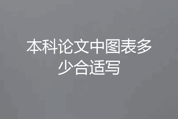 本科论文中图表多少合适写