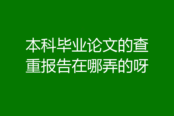本科毕业论文的查重报告在哪弄的呀