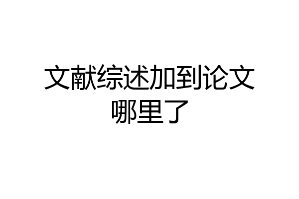 文献综述加到论文哪里了
