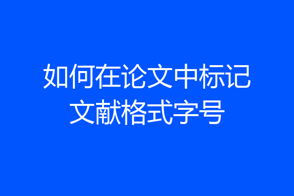 如何在论文中标记文献格式字号