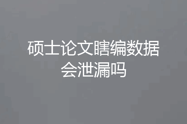 硕士论文瞎编数据会泄漏吗