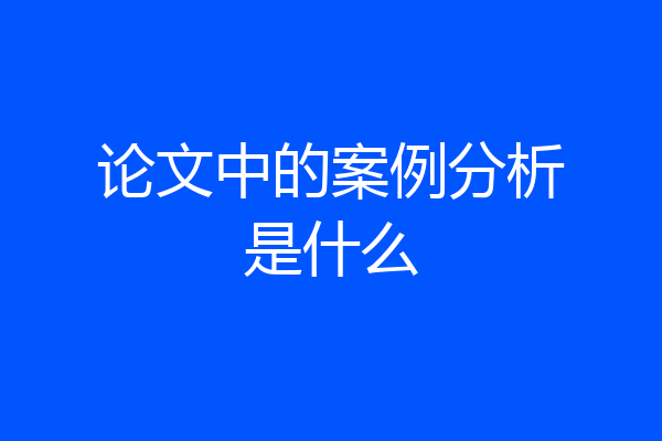 论文中的案例分析是什么