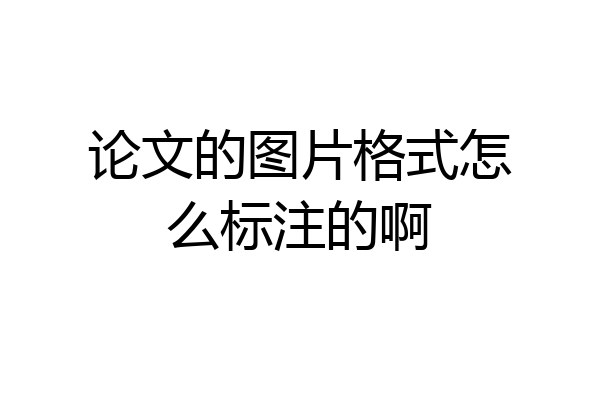 论文的图片格式怎么标注的啊